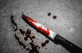 جزئیات جنایت دلخراش خیابان کارگر جنوبی/ قاتل زن و شوهر جوان به دو بار قصاص محکوم شد