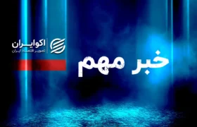 مهم/ پیش فروش خودروهای وارداتی در کدام مناطق ایران ممنوع است؟