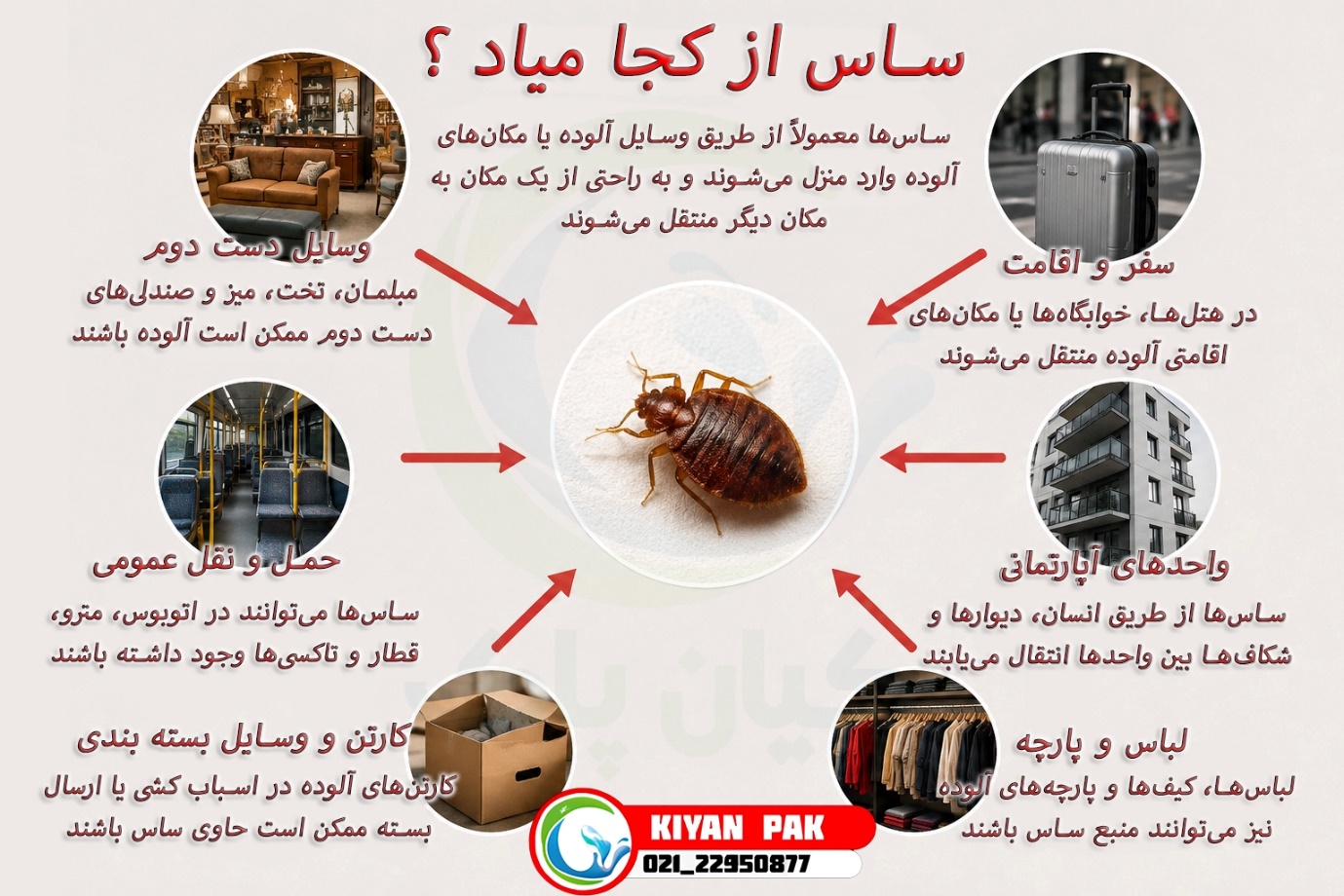 بعد از سفر چه کنیم تا ساس را با خودمان به خانه نیاوریم؟ راهنمای جلوگیری از انتقال ساس با چمدان و لباس ساس از کجا میاد؟