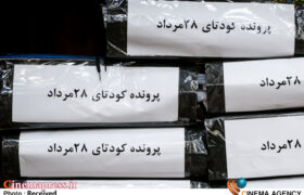 از «کودتای ۲۸ مرداد ۱۳۳۲ هجری شمسی» تا «شبه کودتای دیماه ۱۴۰۴ هجری شمسی»