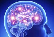 به چه علت مغز اشتباهات را توجیه میکند؟