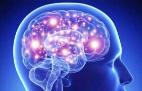 به چه علت مغز اشتباهات را توجیه میکند؟