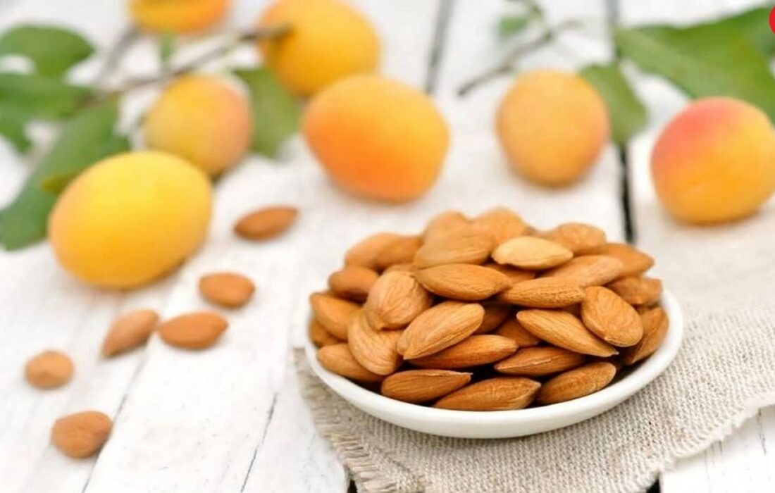 هسته زردآلو را نخورید!/ تلخی گیری به معنی بی خطر شدن هسته نیست!