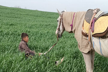 کوبیدن سیلی واقعیت برصورت رویا؛ سینمای مستند از مساله اکران رنج میبرد