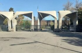 یک انتصاب جدید در دانشگاه تهران