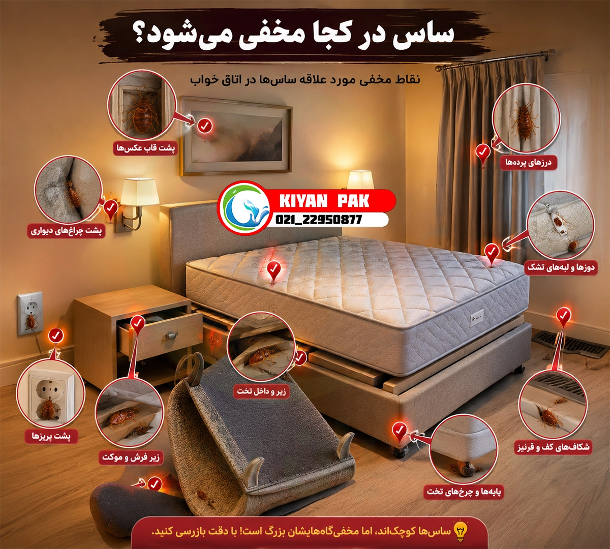 بعد از سفر چه کنیم تا ساس را با خودمان به خانه نیاوریم؟ راهنمای جلوگیری از انتقال ساس با چمدان و لباس ساس در کجا مخفی میشود؟