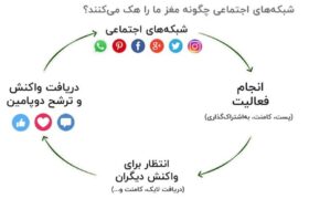 نقش هورمونها در استفاده از شبکههای اجتماعی؛ دوپامین، کورتیزول و خواب