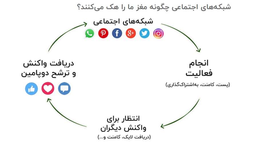 نقش هورمونها در استفاده از شبکههای اجتماعی؛ دوپامین، کورتیزول و خواب