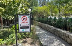 سگگردانی؛ سبک زندگی جدید یا پاسخی به تنهایی و انزوای شهری؟