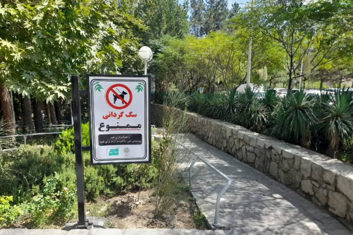 سگگردانی؛ سبک زندگی جدید یا پاسخی به تنهایی و انزوای شهری؟