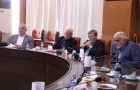 مرندی: سلامت عمومی تنها به «درمان» محدود نمیشود